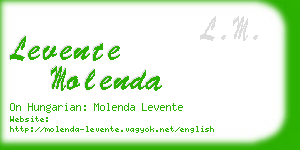 levente molenda business card